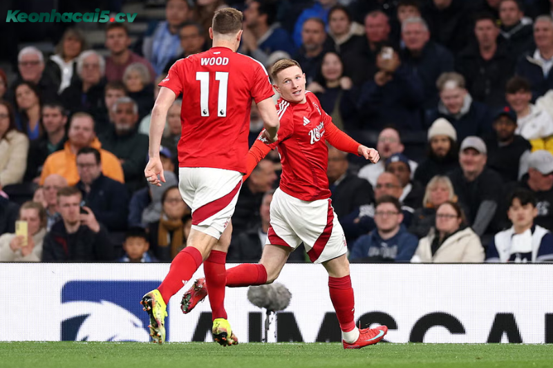 Đội hình dự kiến trước trận Nottingham vs Tottenham Đội hình dự kiến trước trận Nottingham vs Tottenham