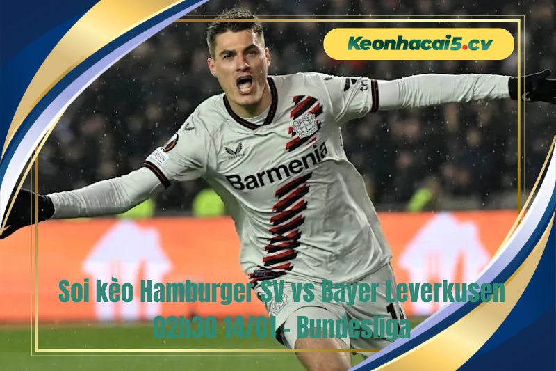 Đội hình dự kiến trước trận Hamburger SV vs Bayer Leverkusen Đội hình dự kiến trước trận Hamburger SV vs Bayer Leverkusen